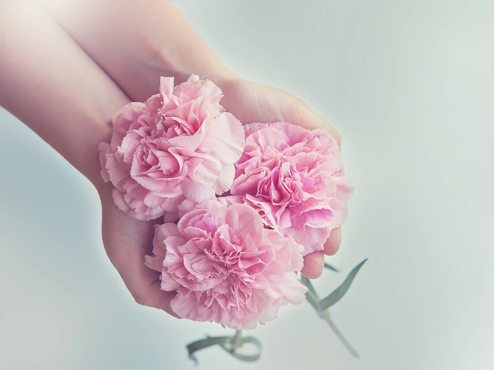 Divi Flower Shop